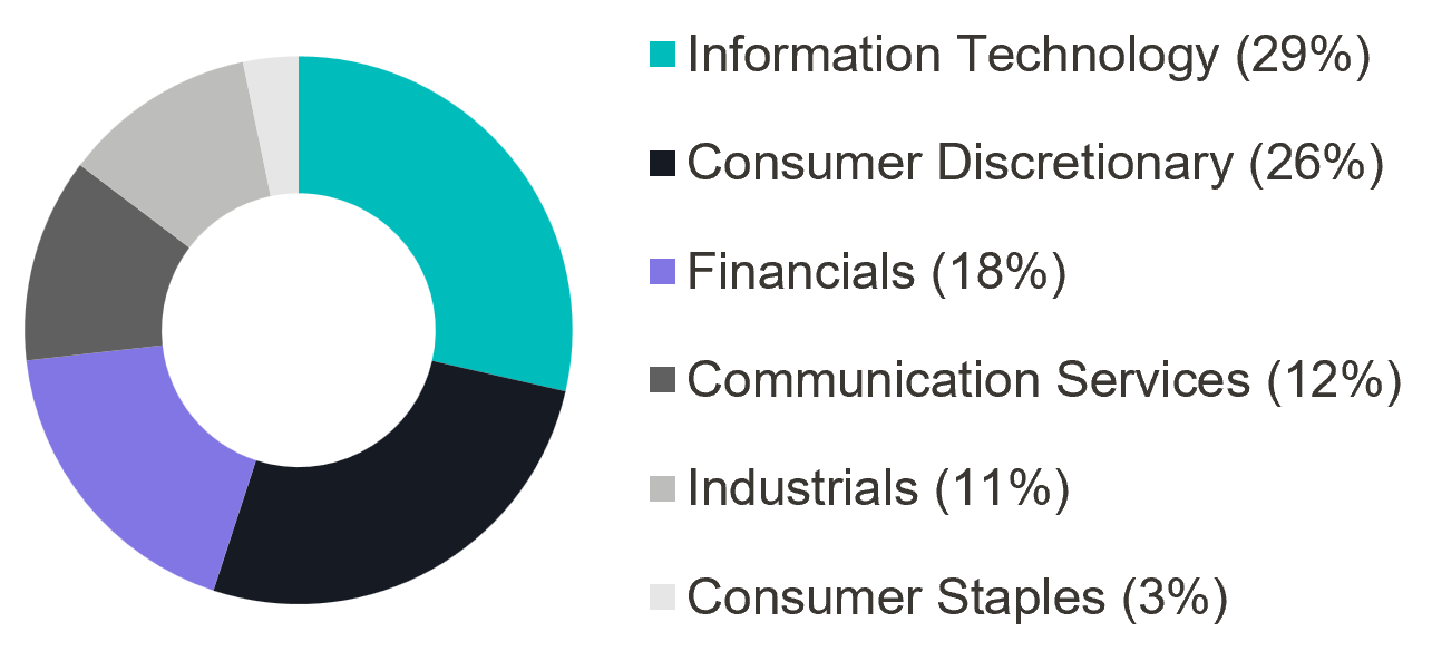 SVNP sector allocation in May 2026. Information technology and consumer discretionary are the largest sectors; the legend lists six sector weights.