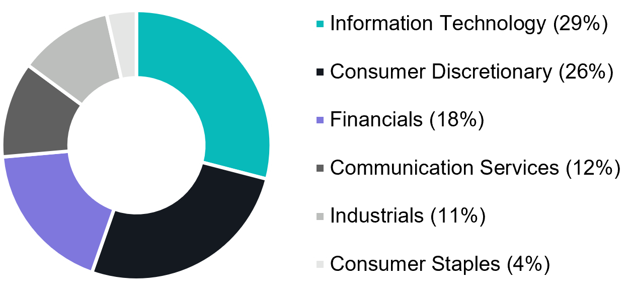SVNP sector allocation in June 2026. Information technology and consumer discretionary are the largest sectors; the chart's legend lists six sector weights.